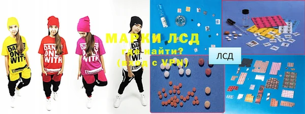 стаф Горняк