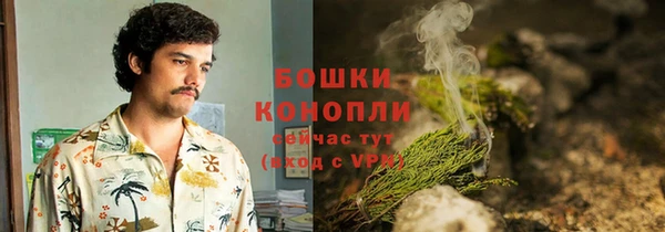 стаф Горняк