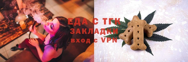 стаф Горняк