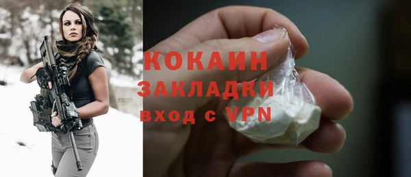 стаф Горняк