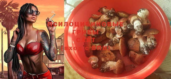 ECSTASY Горно-Алтайск