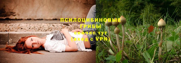 ECSTASY Горно-Алтайск
