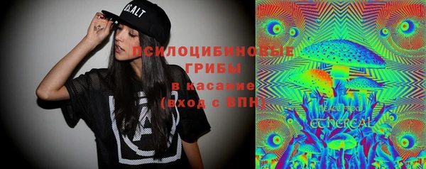 MDMA Горнозаводск