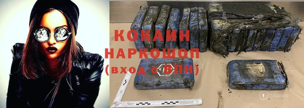 стаф Горняк