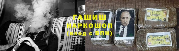 стаф Горняк