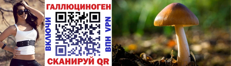 Галлюциногенные грибы прущие грибы  Купить где  Ковылкино 